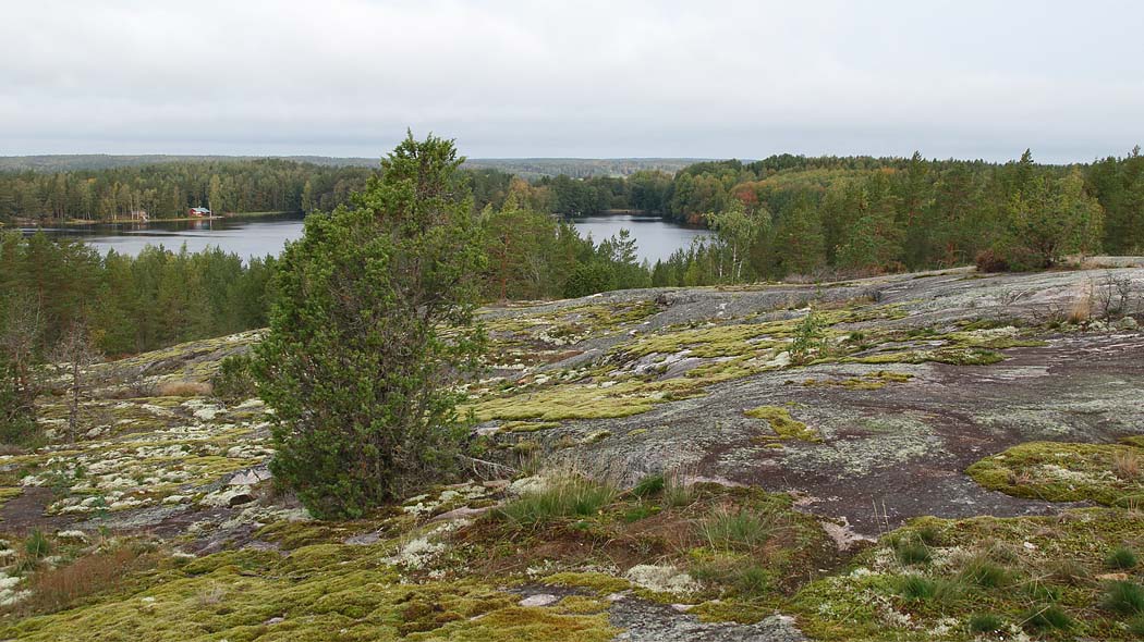 Вид с природной тропы. На переднем плане замшелая скала, а на заднем лес и озеро.