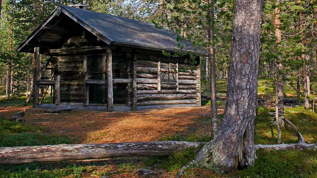 Vanha hirsimökki metsässä. Suojeltu Marasen kämppä Järvisen Aihkikossa. Kuva: Pia Jaakola.