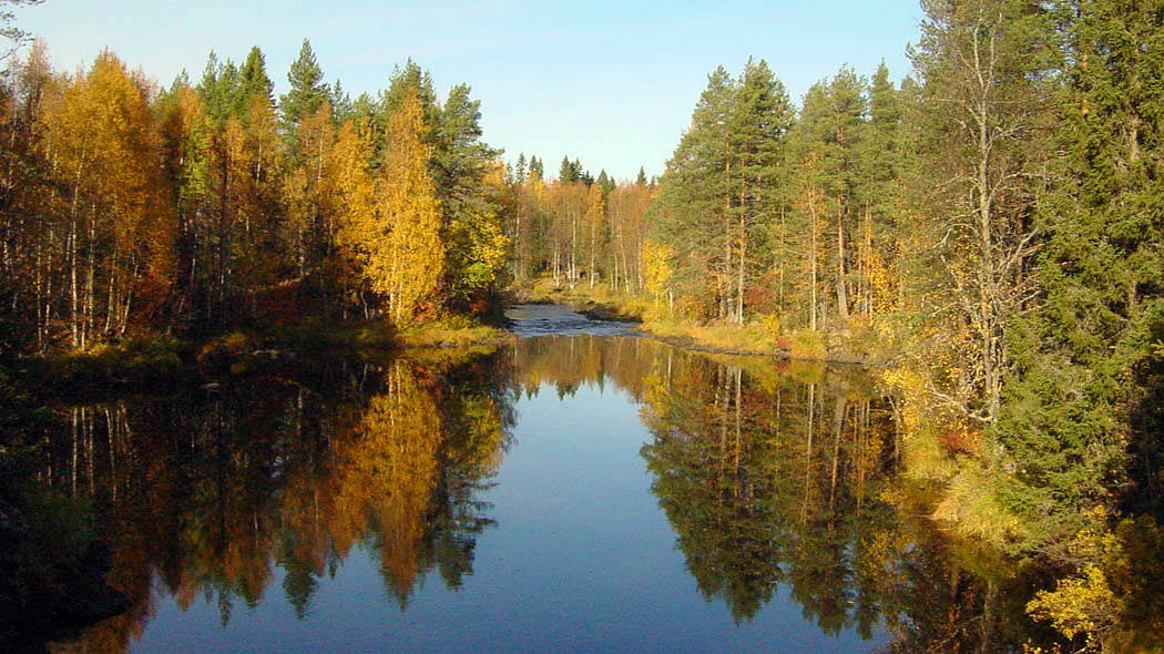 Tyyni joki, johon laskee koski. Ympärillä ruskaista metsää.