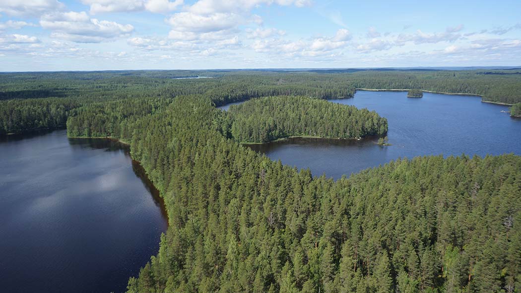 Havumetsäinen kannas, jonka molemmin puolin on järvi. Metsämaisema jatkuu horisonttiin poutapilvisen taivaan alla.Paistjärven aluetta ilmasta käsin.