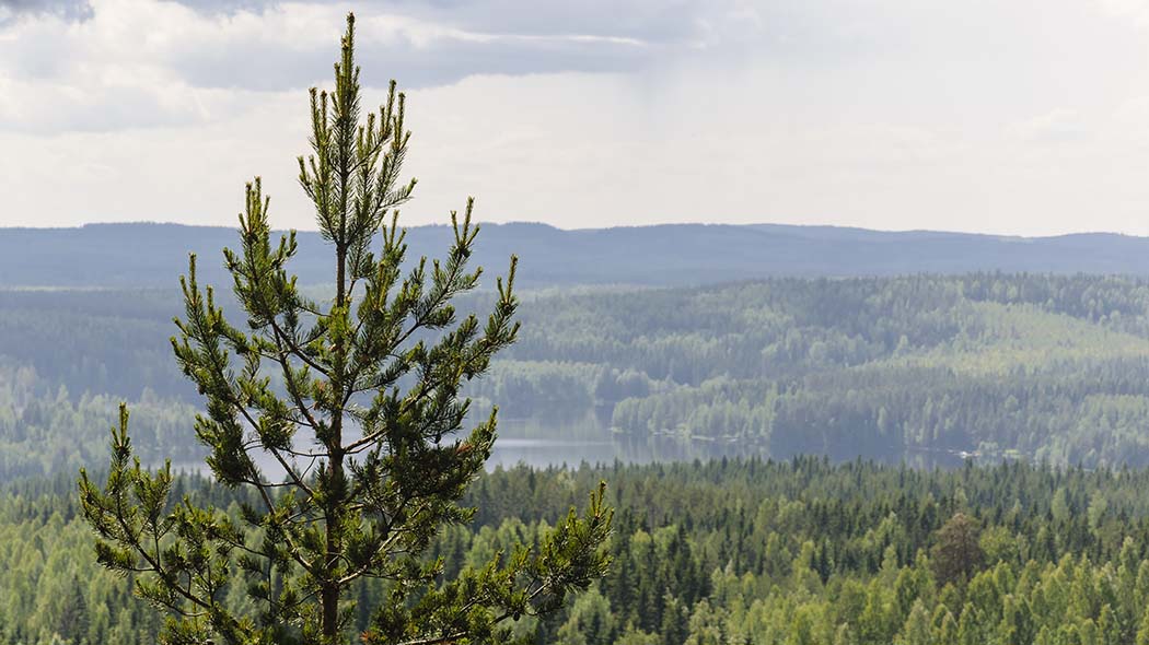 Kauas siintävä maisema.