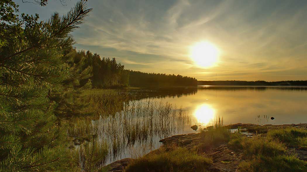 Laskeva aurinko heijastuu veden pinnasta. Horisontissa havumetsää ja etualalla kivikkoinen ranta ja ruovikkoa.