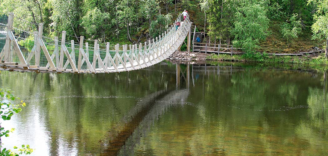 Веревочный парк Чита Никишиха