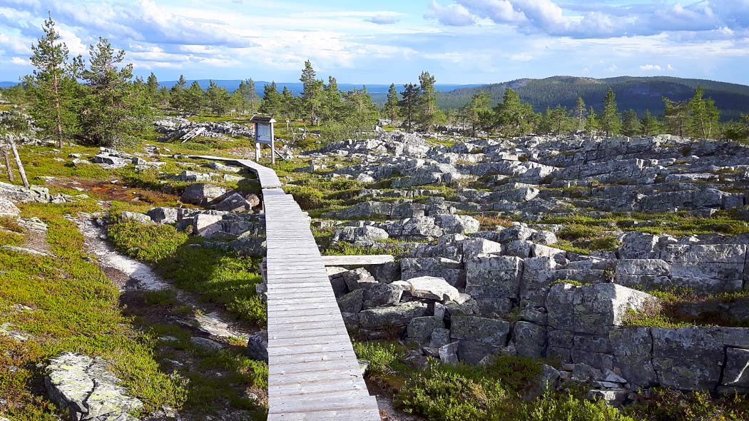 Maisema Kivitunturin huipulla. Kuva: Netta Kuivalainen.