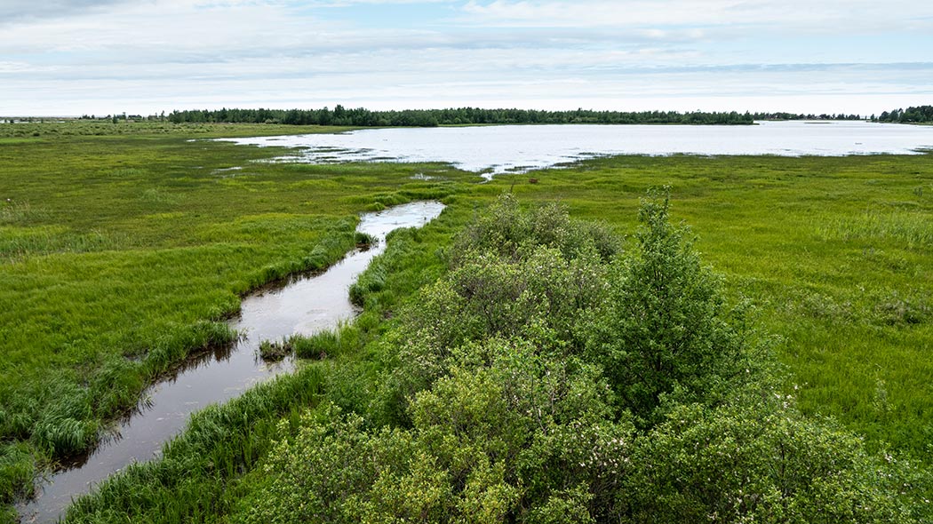 Vehreä avoin rantaniitty ja merestä irtautunut kluuvijärvi.