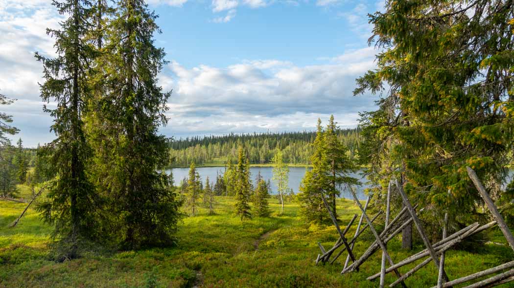 Kesäinen järvimaisema. Etualalla puita ja puusta rakennettu aita.