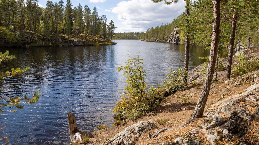 Lampi jonka rannoilla on kalliokkoista havumetsää.